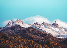 乐鱼体育登录入口：开启体育博彩新纪元的便捷钥匙